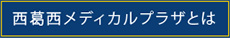 西葛西メディカルプラザとは